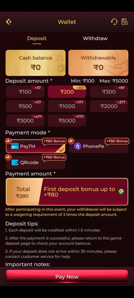 IN101 deposit wallet with payment options