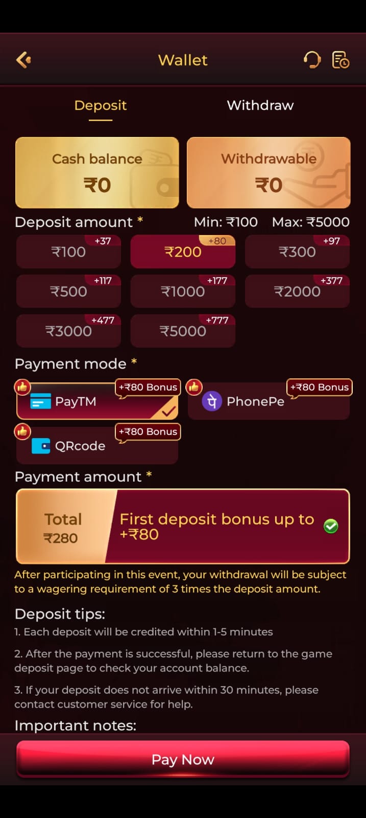 IN101 deposit wallet with payment options